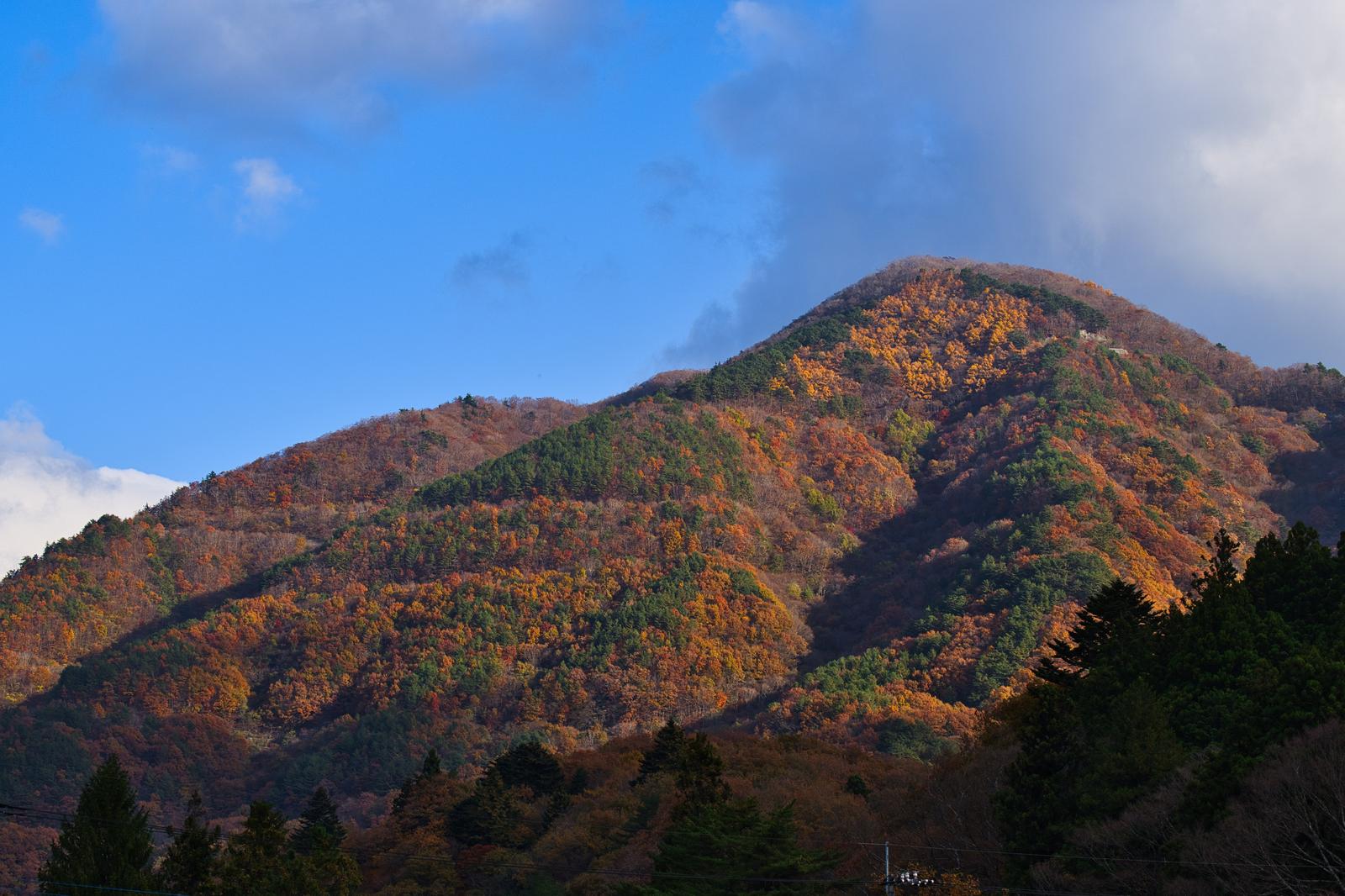 オレンジと緑に色づいた山々が続く秋の里山風景