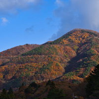 オレンジと緑に色づいた山々が連なる秋の里山風景の写真