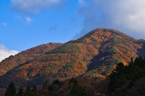 オレンジと緑に色づいた山々が連なる秋の里山風景