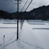 雪に覆われた田んぼ道に立ち並ぶ電柱と冬景色の写真