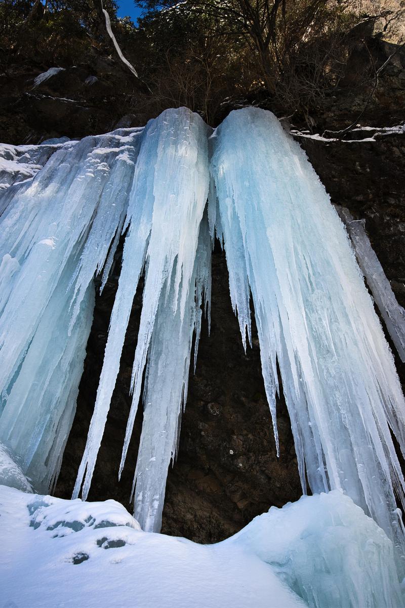 Multiple vertical blue icicles glowing in the snowy winter waterfall