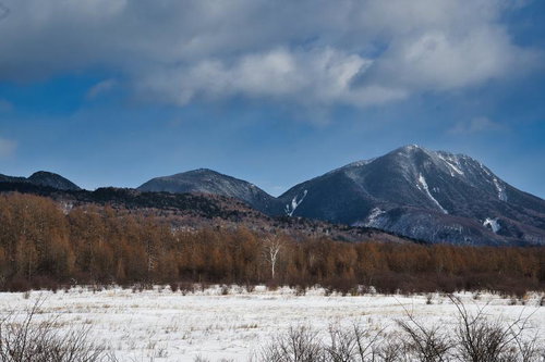 小田代ヶ原の雪原に映える冬の山々と裸木のシラカバ林