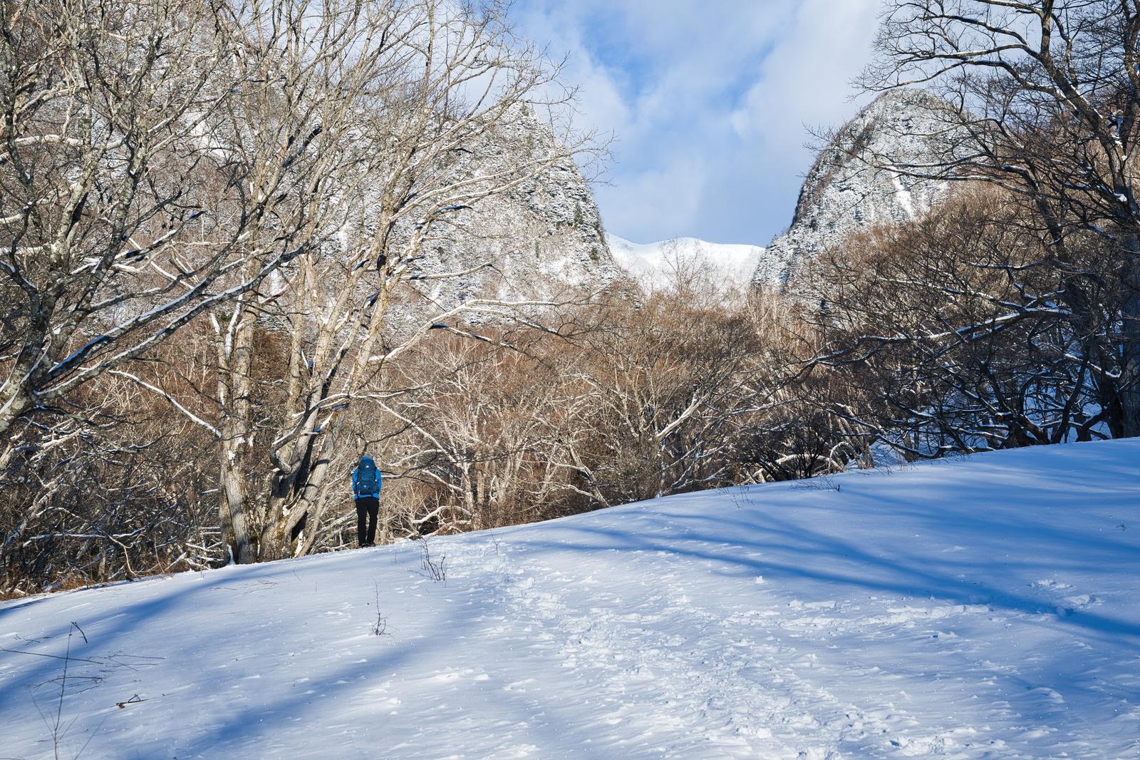 The mountaineer in a blue jacket ascends the snow-covered slope of a birch forest, with footprints trailing behind in the winter mountain scenery.