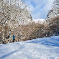 雪山の樹林帯を登る登山者と足跡の写真