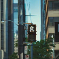 トロント市街地の歩行者用信号機に表示される進むピクトグラムの写真