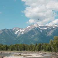 グランドティトン国立公園のティトン山とコットンウッド川の雄大な風景の写真
