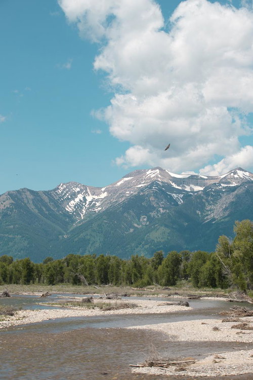 グランドティトン国立公園のティトン山とコットンウッド川の雄大な風景