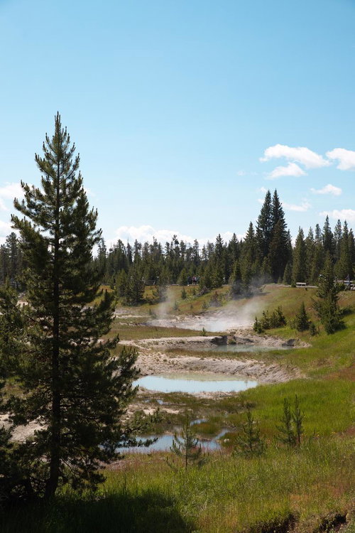 イエローストーン国立公園ウェスト・サムの間欠泉と湖畔の遊歩道