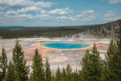 イエローストーン国立公園のグランド・プリズマティック・スプリング、松林を前景にした景色
