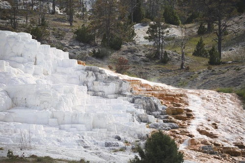 イエローストーン国立公園のパレットスプリングス、リバティー・キャップ