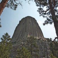 松林越しに見上げたアメリカの名峰デビルズタワーの写真