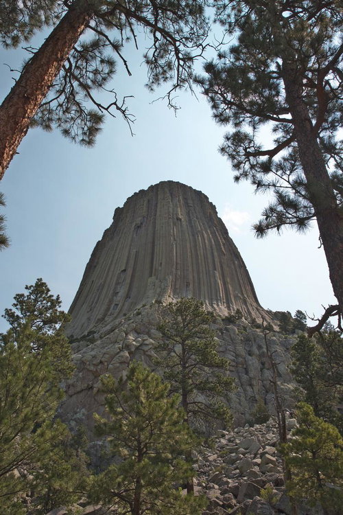 松林越しに見上げたアメリカの名峰デビルズタワー