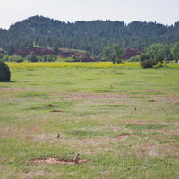 プレーリードッグが暮らす広大な草原の群生地の写真