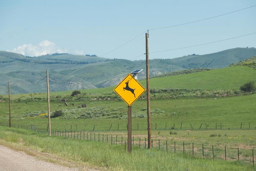 鹿注意の黄色い標識が立つ緑の牧草地と丘陵地の田舎風景