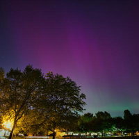 星空とオーロラが夜空に映る公園の樹木風景の写真