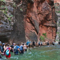 ザイオンナショナルパークの川を渡るハイカーの列の写真