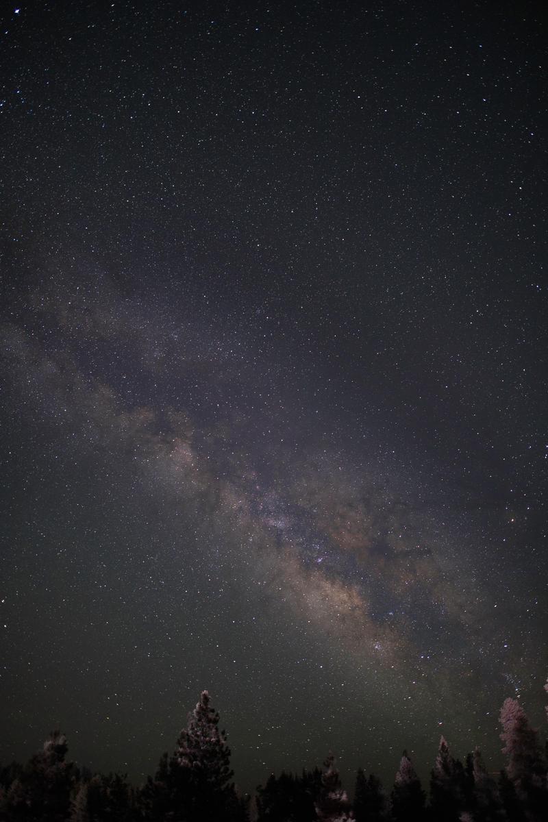 ブライスキャニオンで撮影した天の川と星々に包まれた夜空。下部には松林のシルエット