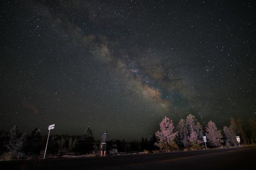 ブライスキャニオン国立公園で天の川を見上げる人
