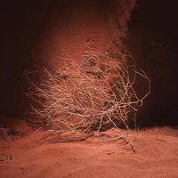 アンテロープキャニオンの砂地に散らばる乾燥した枝の写真