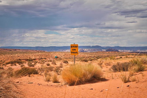 荒野に立つ「STAY ON TRAIL」標識と砂漠の風景