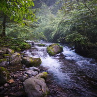 静けさ漂う緑豊かな尚仁沢湧水の写真