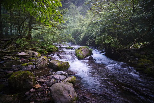 静けさ漂う緑豊かな尚仁沢湧水
