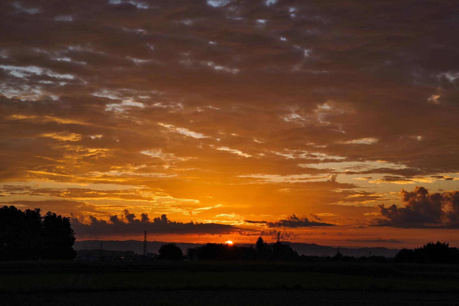 Sunrise over the horizon and an orange-tinted sea of clouds with a grassy foreground