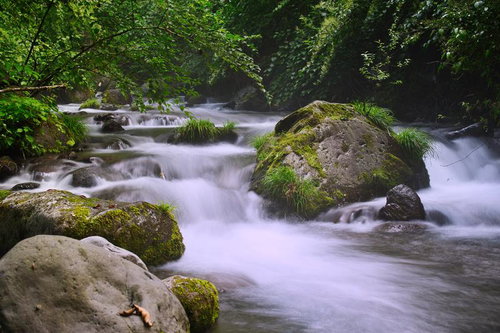 苔むした岩と白い水流が作る新緑の渓流
