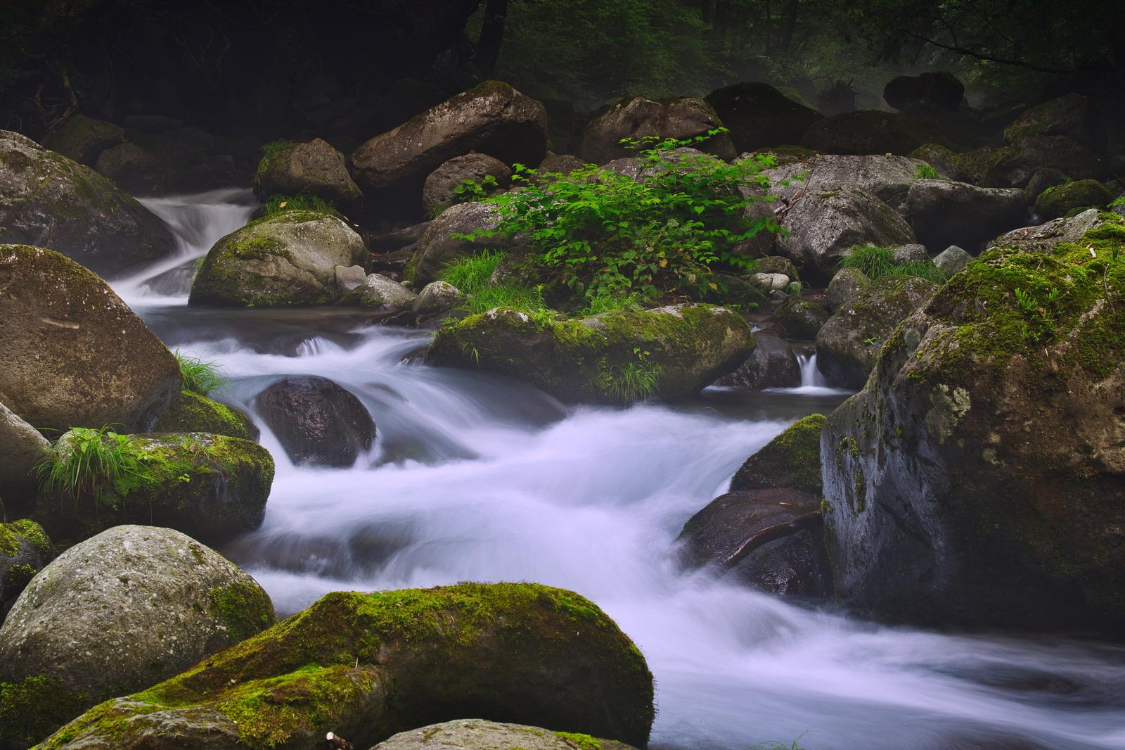苔むした岩の間を長時間露光で滑らかに写した渓流