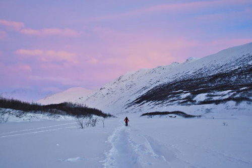 雪に覆われた山々と広大な雪原を歩く登山者