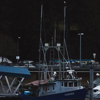 港に停泊する漁船のマストの上にとまる白頭ワシの写真