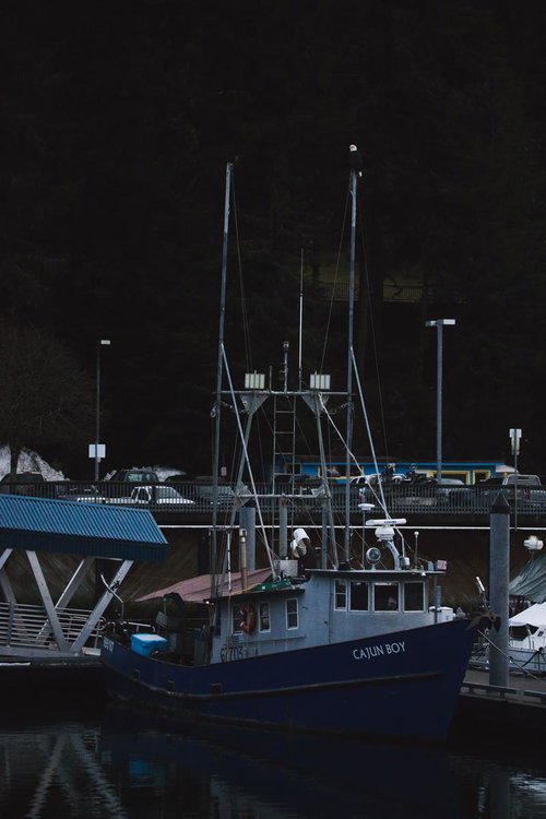 港に停泊する漁船のマストの上にとまる白頭ワシ