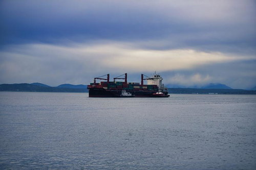 広い海原に浮かぶコンテナ船と曇り空