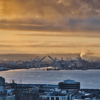 夕焼けに染まるシアトルの港湾風景と大型クレーン群の写真