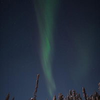 星が降るオーロラの夜に雪積もる森林～北欧の星景の写真