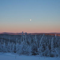 冬の雪景色に浮かぶ満月と朝焼けの森林風景の写真