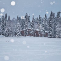 雪に覆われた森林に囲まれた木造の山小屋の冬景色の写真