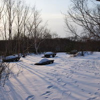 雪が積もったテーブルベンチの写真