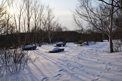 雪が積もったテーブルベンチの写真