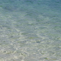 透明度の高い沖縄の海の水面に映る浅瀬のさざ波の写真