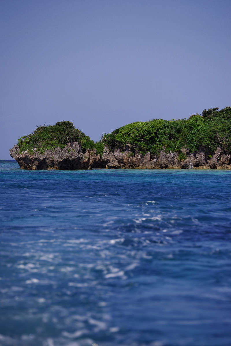 青い海に浮かぶ緑豊かな小島の風景