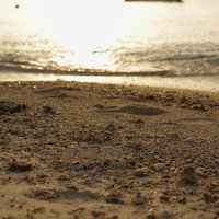 夕焼けの砂浜に取り残されたLOVEの文字オブジェクトの写真