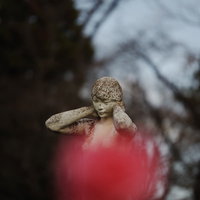 カメラの被写界深度を知る良い作例の写真