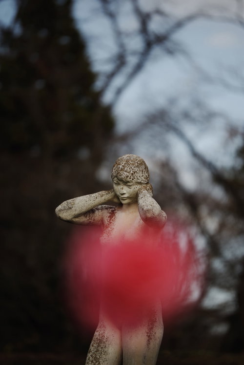 カメラの被写界深度を知る良い作例