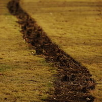 芝生の中を蛇行する茶色い轍と車両の通行跡の写真