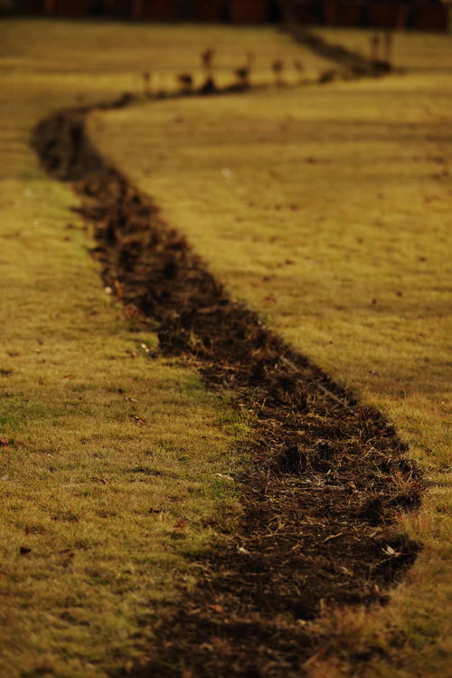 芝生の中を蛇行する茶色い轍と車両の通行跡