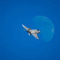 月に向かって飛行するF-4戦闘機の写真