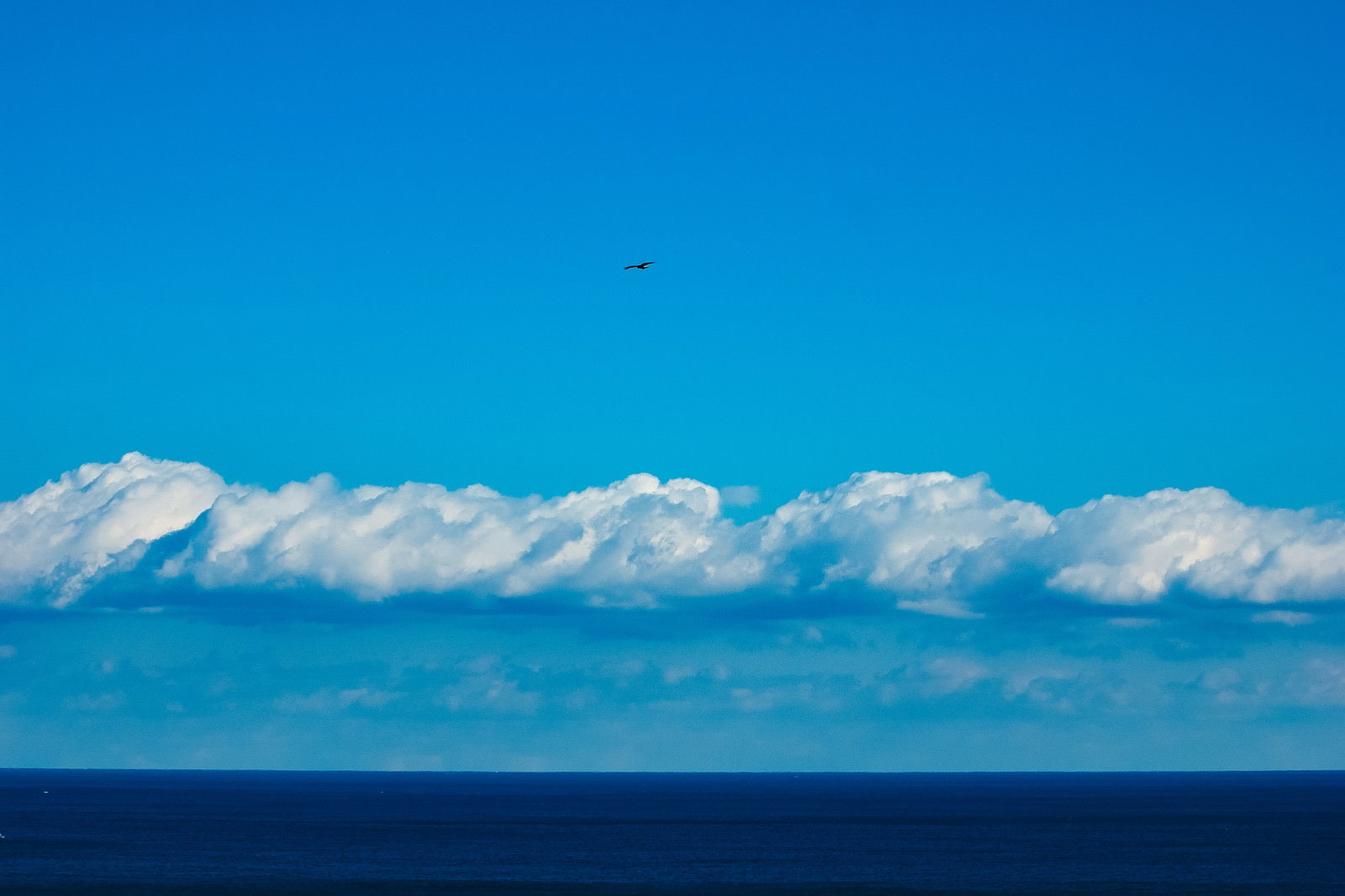 深い青色の海と明るい青空の境界に伸びる一直線の水平線と白い雲