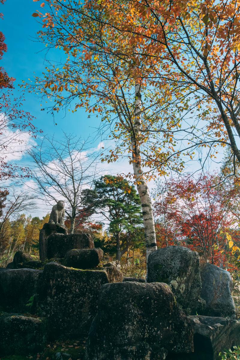 秋色に染まった樹木に囲まれた苔むした石造りの猿像