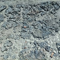 小石交じりの地べた（テクスチャ）の写真